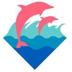Pink Dolphin Clothing