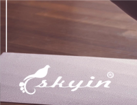 SkyIn Fitness