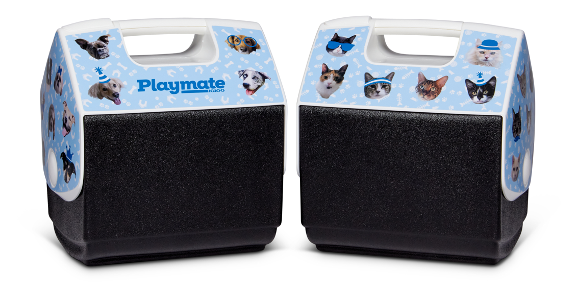 IGLOO RELEASES PLAYMATES FEATURING ITS EMPLOYEES’ RESCUE PETS TO RAISE