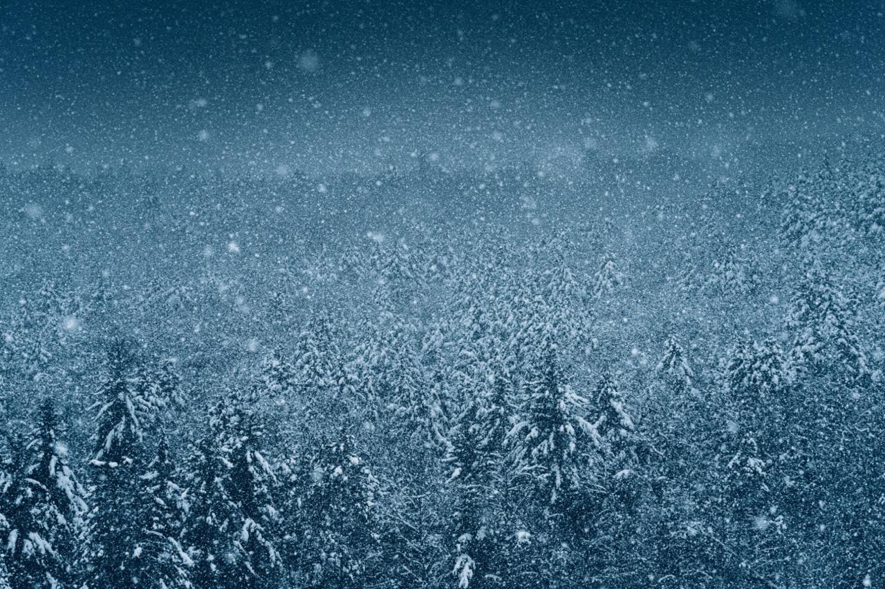 Profile background