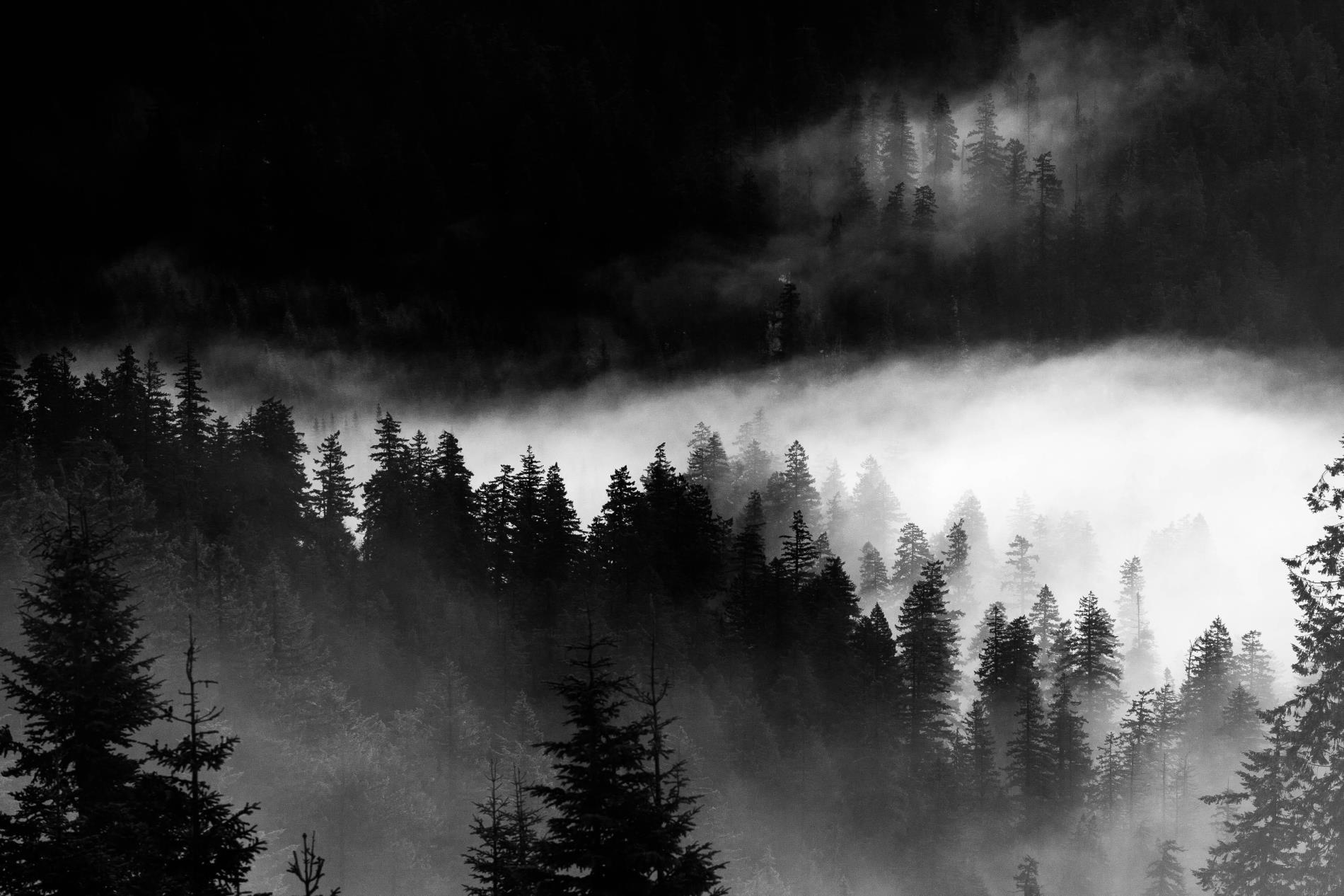 Profile background
