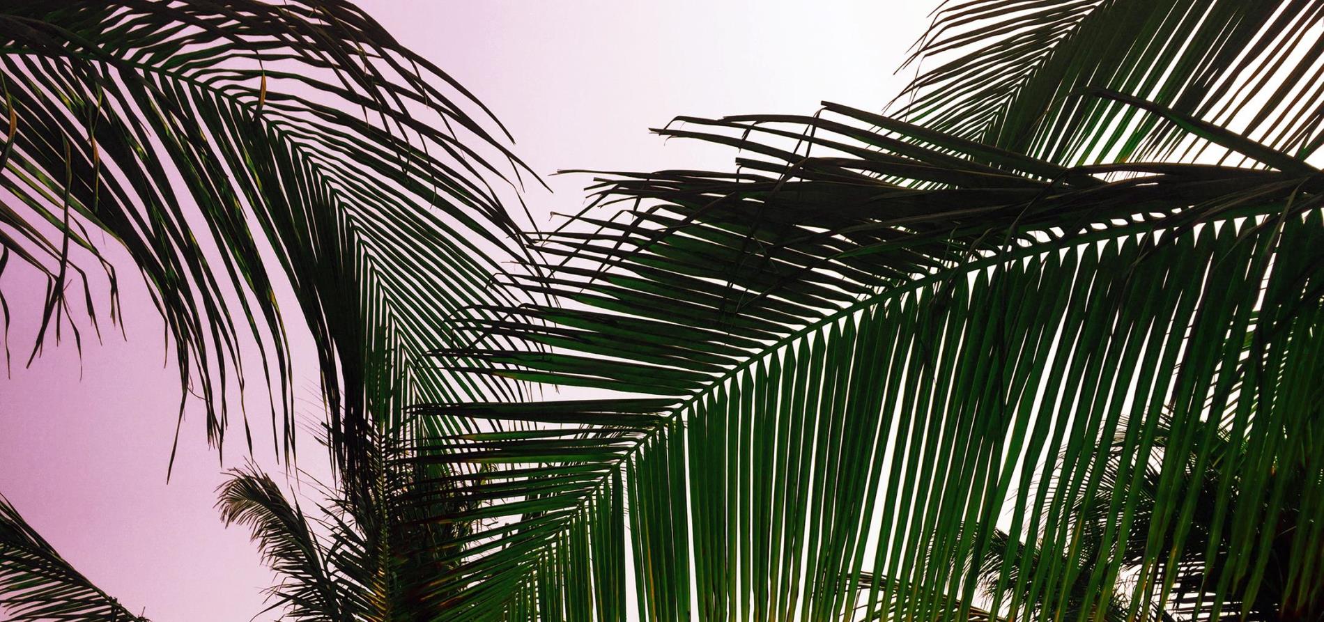 Profile background