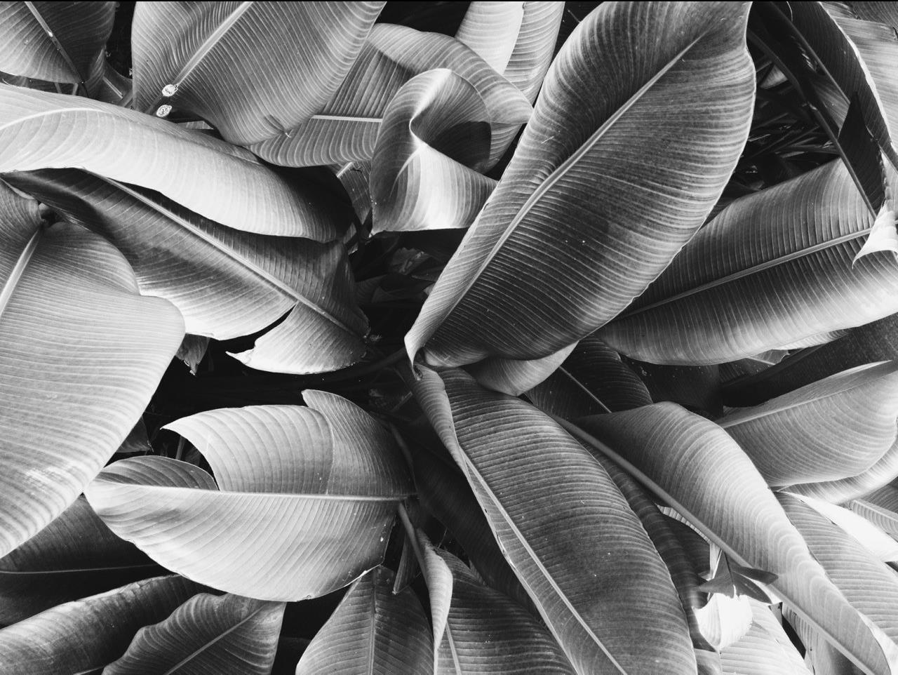 Profile background