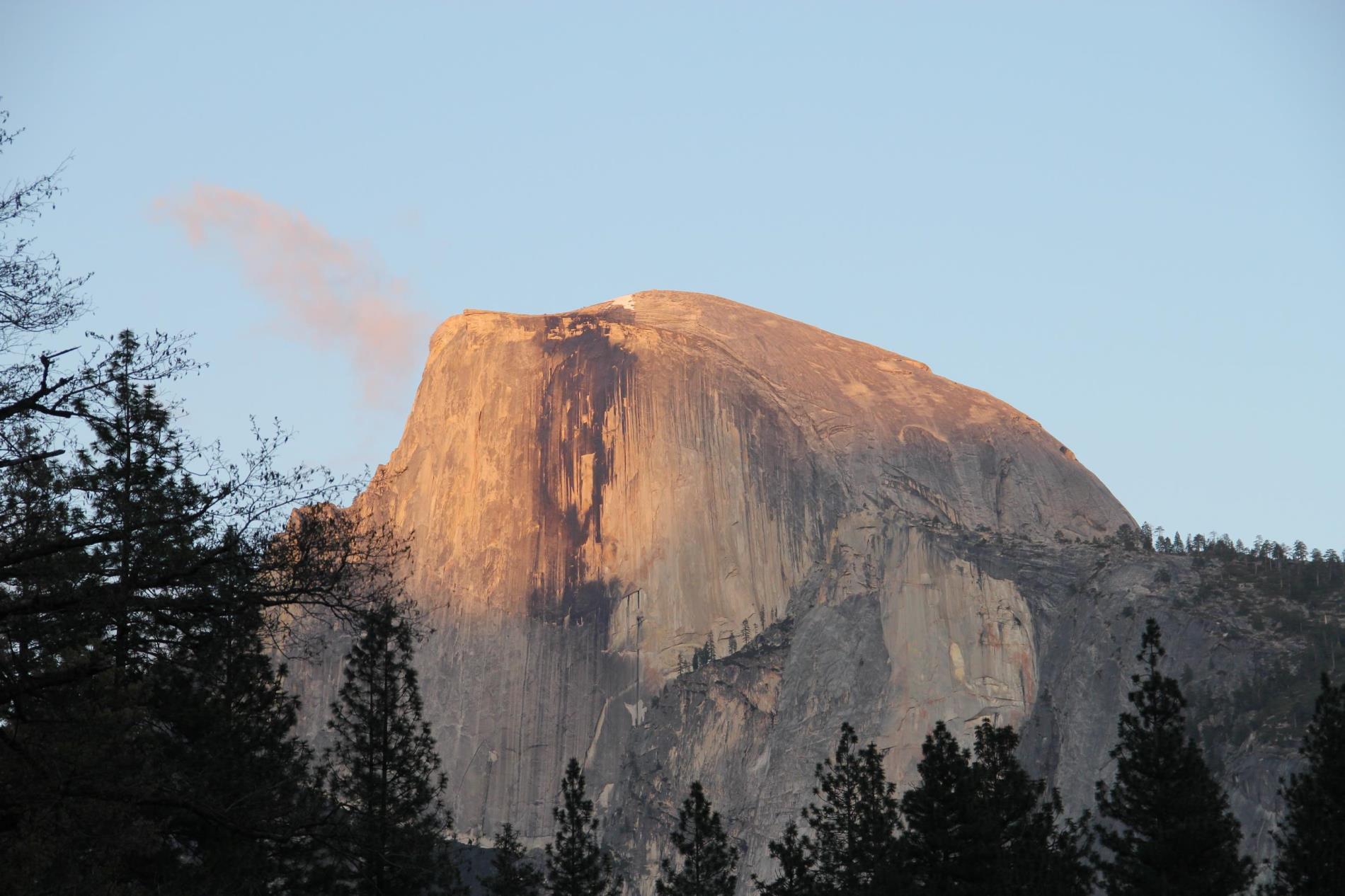 Brett Knight profile background