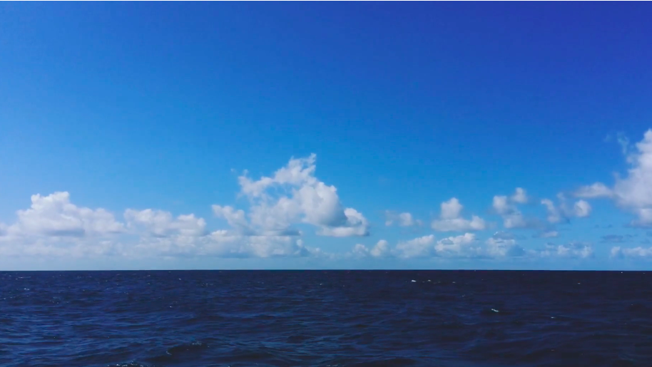 Profile background