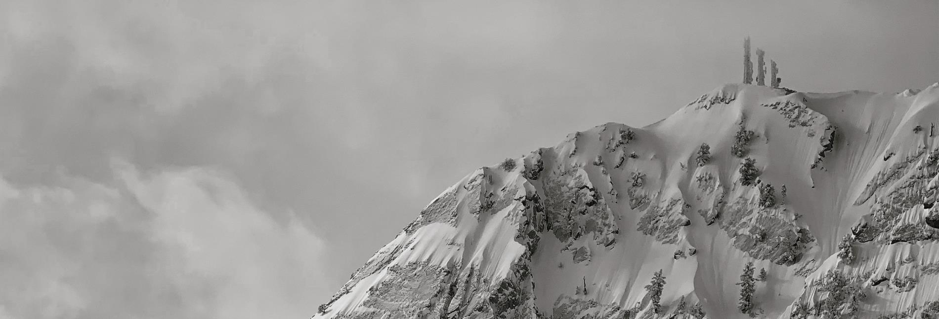 Chris Springer profile background