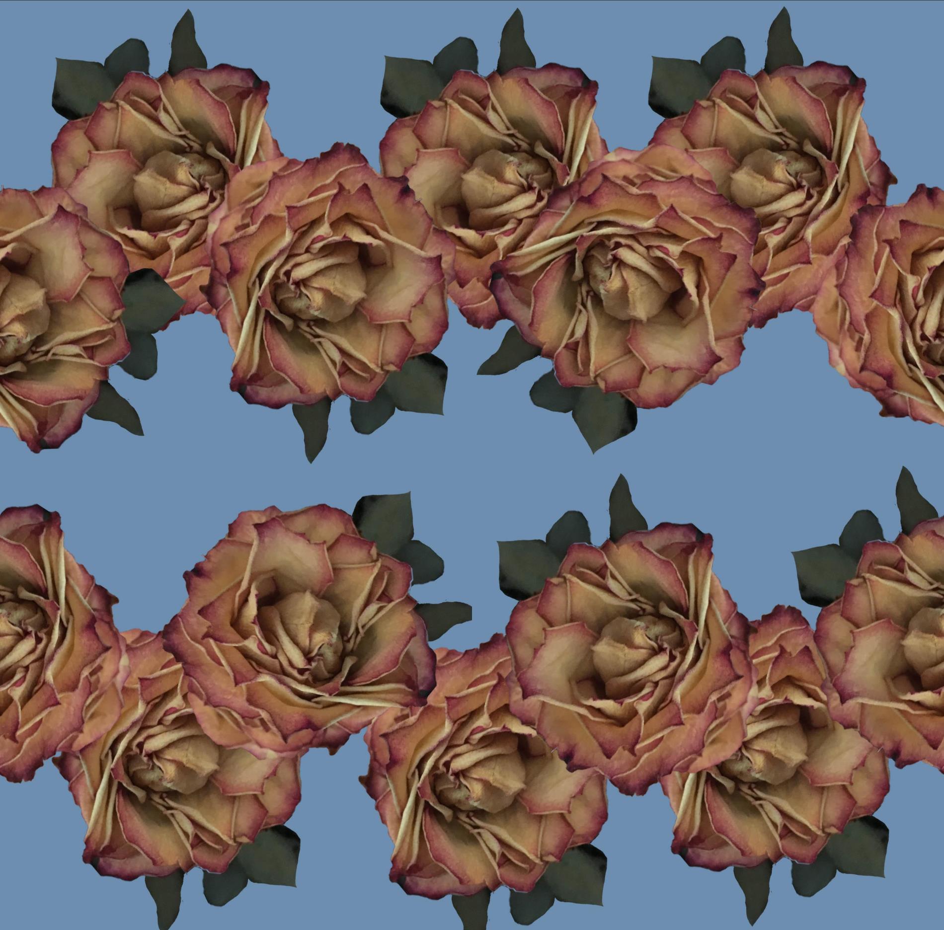 Profile background