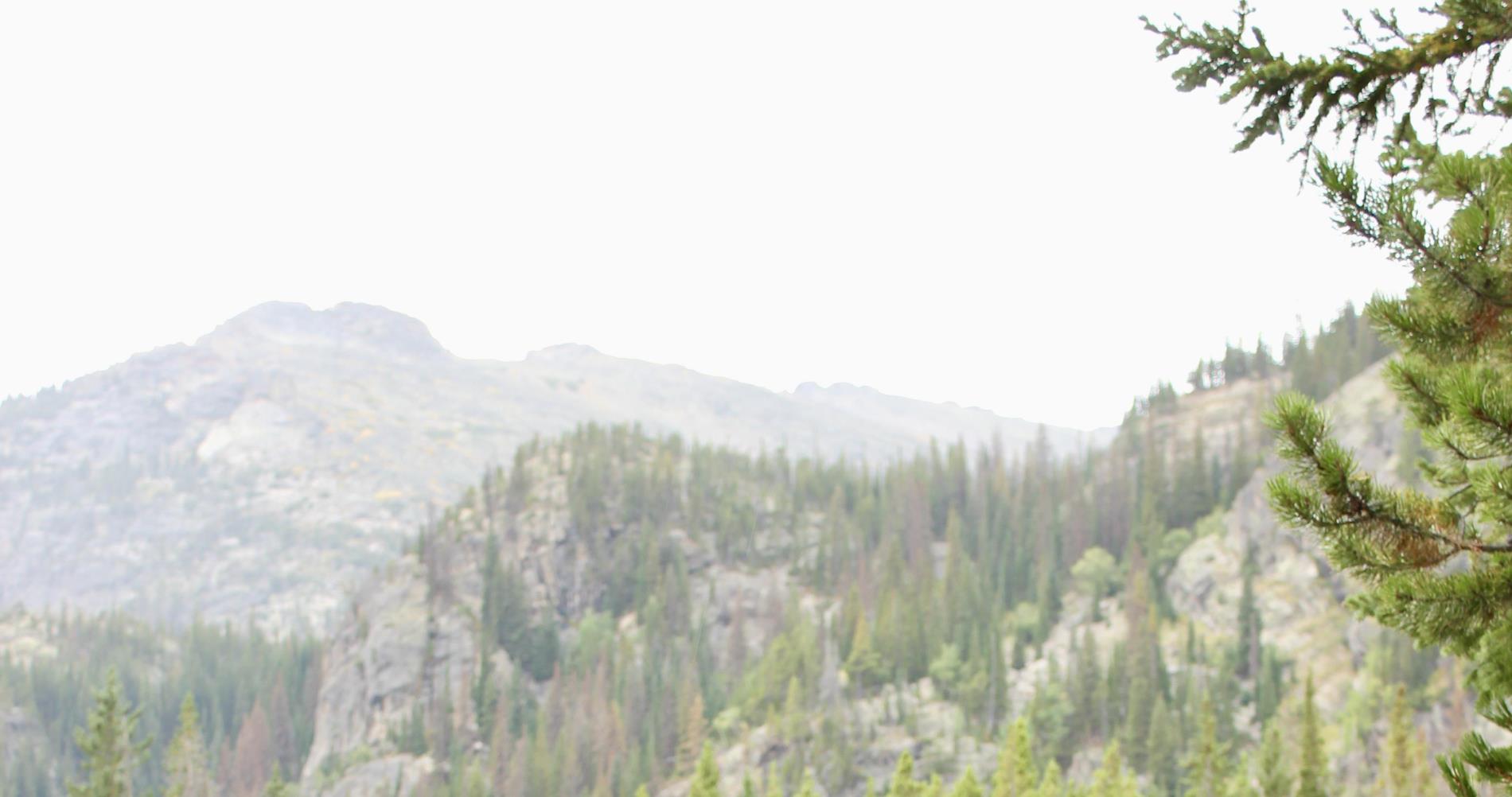 Jordyn Petrik profile background