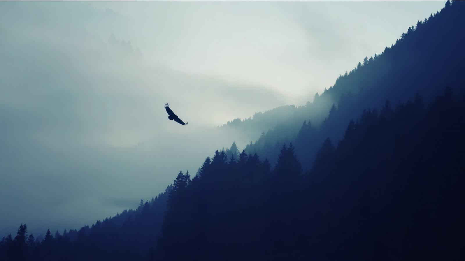 Profile background
