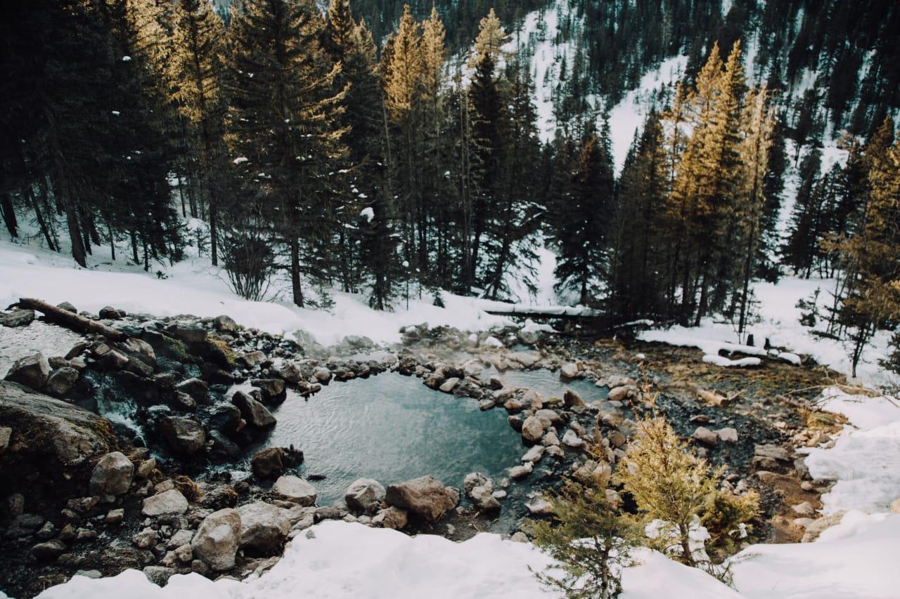 Jeffrey Fraser profile background
