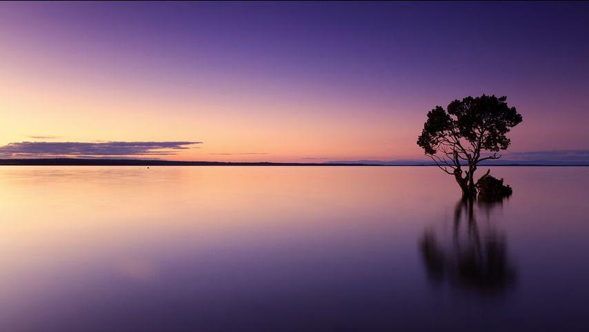 Dianne Sowards profile background