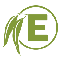 Eucalyptus Creative