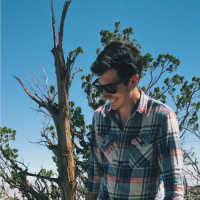 Andrew Sylvia