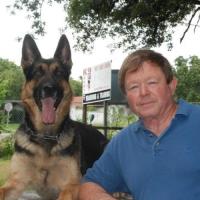 Cappel Canine