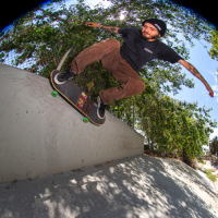 Profile avatar